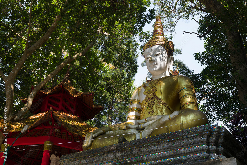 Wat Phra That Doi Suthep Ratchaworawihan garden. Big buddha statues at the temple entrance. Thailand's most popular touristic destinations. Wat Phra That Doi Suthep Ratchaworawihan garden. Big buddha statues at the temple entrance. Thailand's most popular touristic destinations.