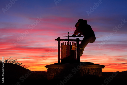 Wine country sunset photo