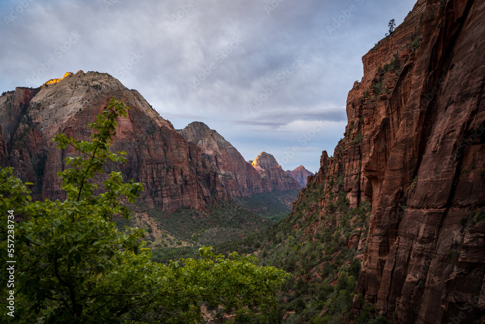 zion national park canyon during sunrise