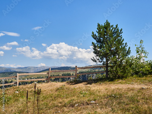 Wooden fence and a pine tree in Park Prirode Piva, Pluzine, Montenegro. Beautiful nature background
