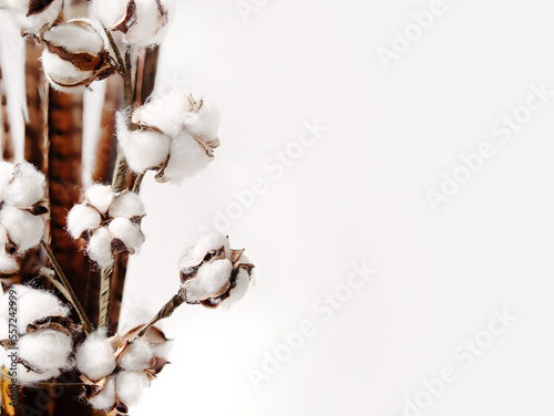 Dried cotton flowers with light grey background. White soft flower arrangement for rustic or farmhouse style. Symbol of luck, healing and protection. Natural background texture. Selective focus.