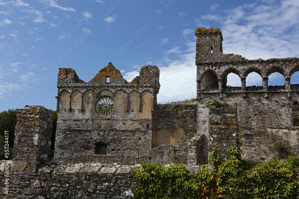Ruins of Bishop's Palace at St Davids Cathedral in St Davids city in Pembrokeshire, Wales, United Kingdom