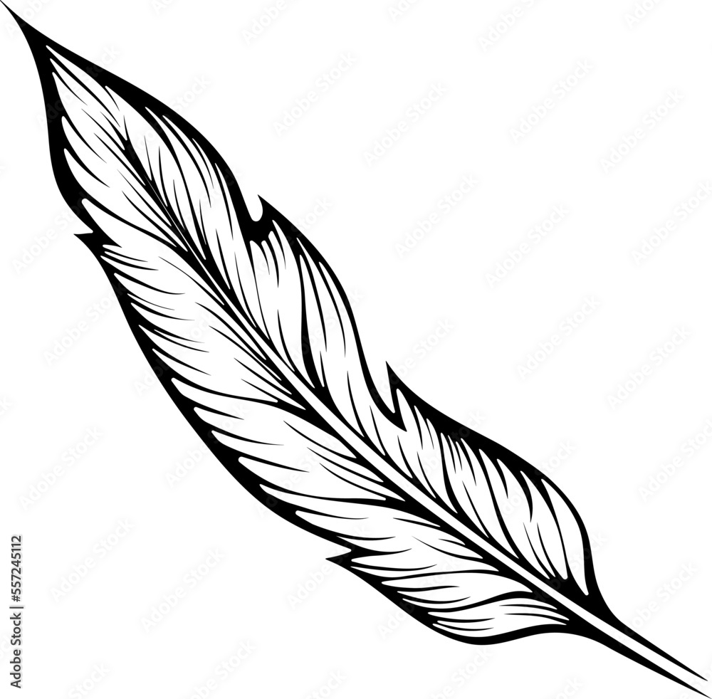 Feather Bird Drawing Line art, feather, watercolor Painting, ink png |  PNGEgg