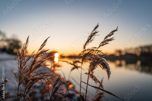 Sonnenuntergang am Nord Ostsee Kanal im Winter.
Durchfahrt von einem Schiff. photo