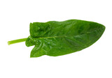 Spinach leaf isolated on white background. Fresh green spinach Top view. Flat lay. BIO salad.