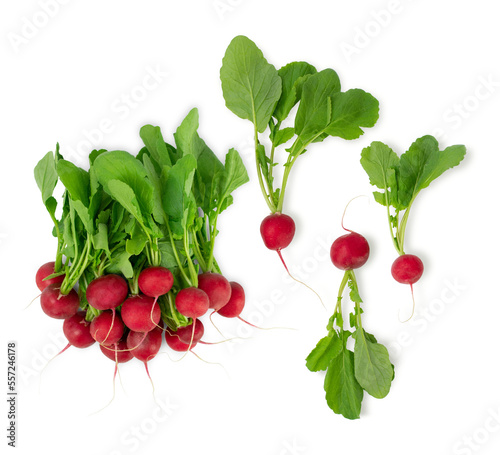 Fresh red garden radish isolated on white background. raw vegan healthy concept.