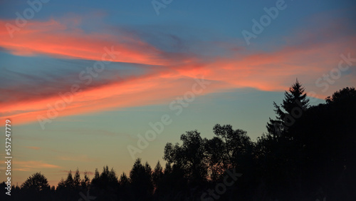 Morning sky landscape over the edge of the forest with pink cloud cross.