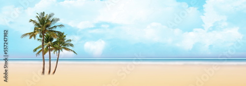  blue sky and sea white clouds tropical tree summer background banner template