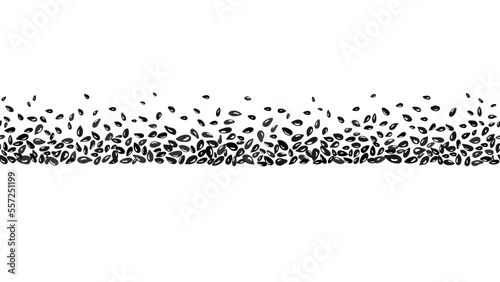 Seeds seamless pattern. Sesame border Vector print