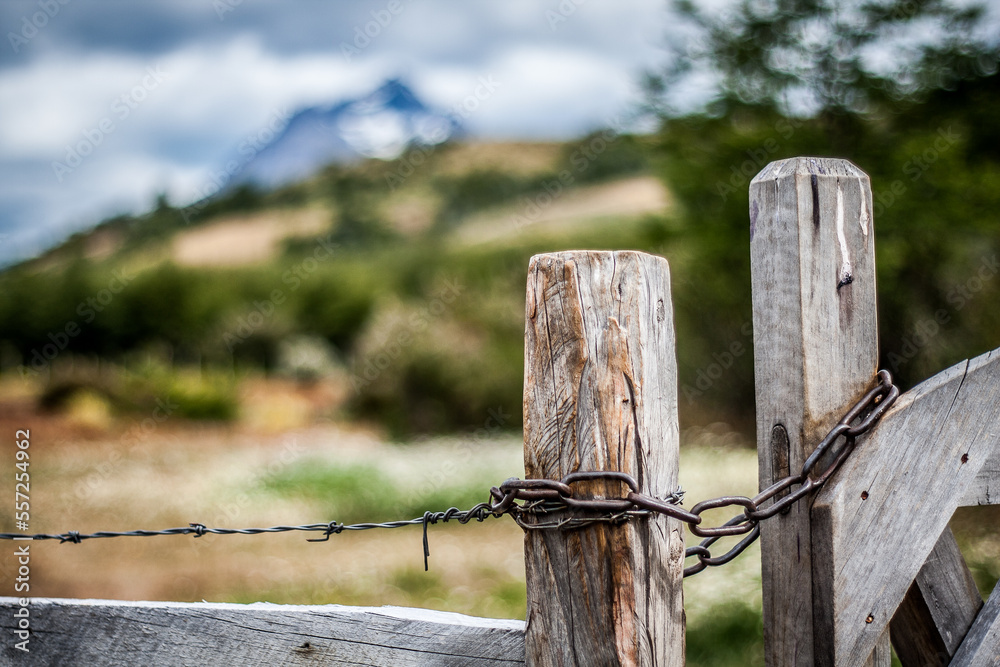 Fototapeta premium old wooden fence
