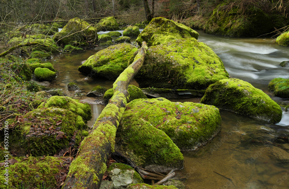 Wildbach im Allgäu. Wildbach im Allgäu.