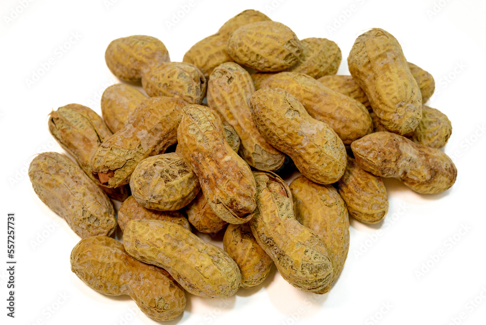 Bunch of Peanuts Salted and Roasted in the Shell Bunch of Peanuts Salted and Roasted in the Shell