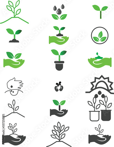 Set of agricultural crops isolated on a white background.