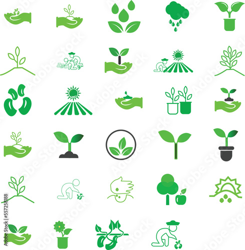 Set of agricultural crops isolated on a white background.