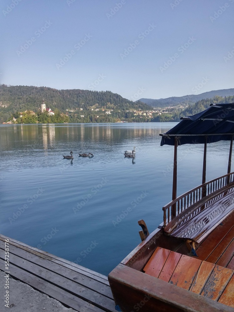 Lake of Bled Landscape