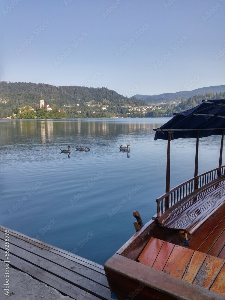 Naklejka premium Lake of Bled Landscape