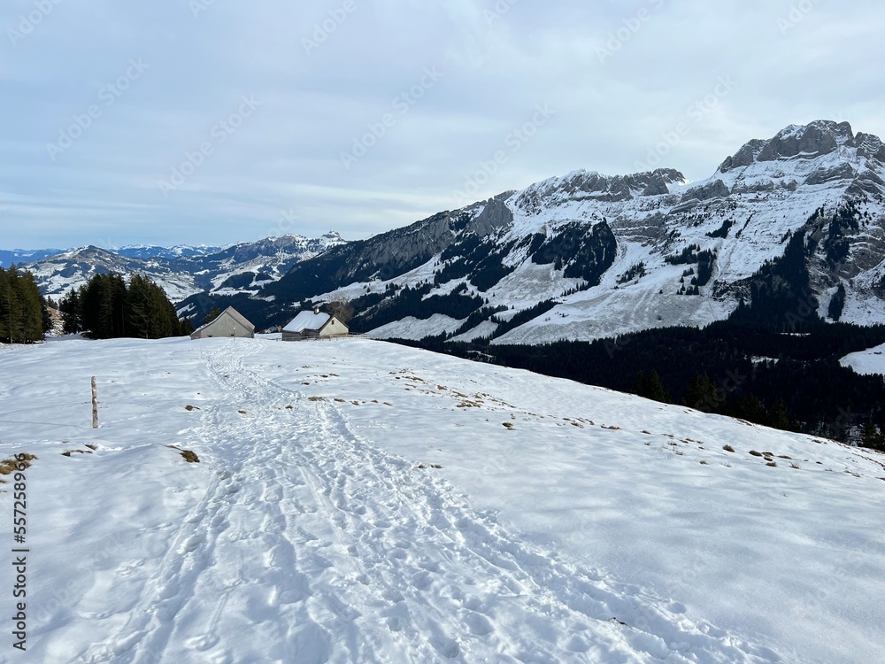 Fototapeta premium Wonderful winter hiking trails and traces in fresh alpine snow on the slopes of the Alpstein mountain range, Urnäsch (Urnaesch or Urnasch) - Canton of Appenzell Innerrhoden, Switzerland (Schweiz)