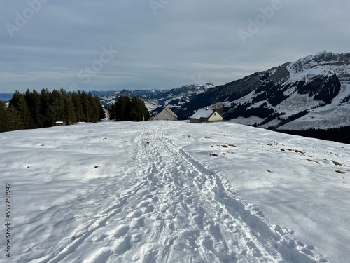 Wonderful winter hiking trails and traces in fresh alpine snow on the slopes of the Alpstein mountain range, Urnäsch (Urnaesch or Urnasch) - Canton of Appenzell Innerrhoden, Switzerland (Schweiz) photo