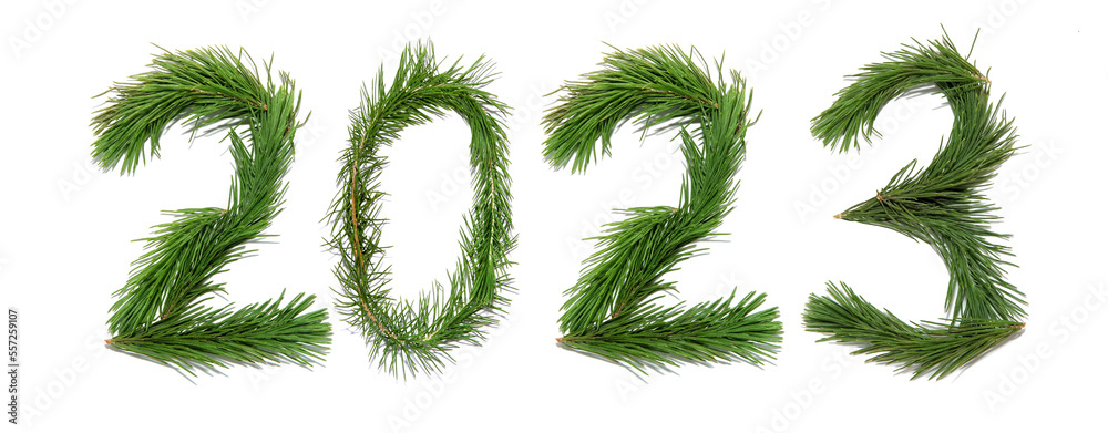 2023 New Year. Two thousand twenty-three New Year. Numbers are made of a pine tree branches. Happy New Year. Isolated on a white background 2023 New Year. Two thousand twenty-three New Year. Numbers are made of a pine tree branches. Happy New Year. Isolated on a white background