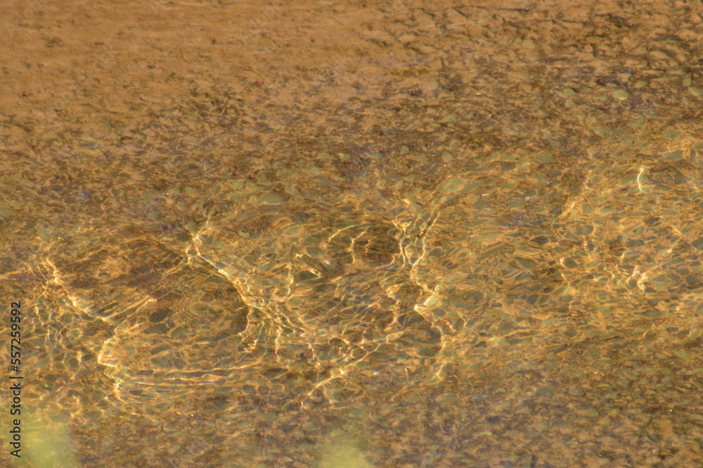 stream running water ripples