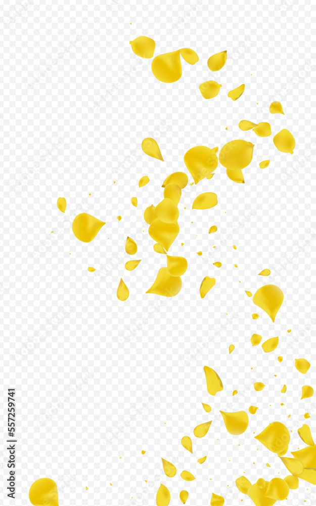Amber Peach Flying Vector Transparent Background. Amber Peach Flying Vector Transparent Background.