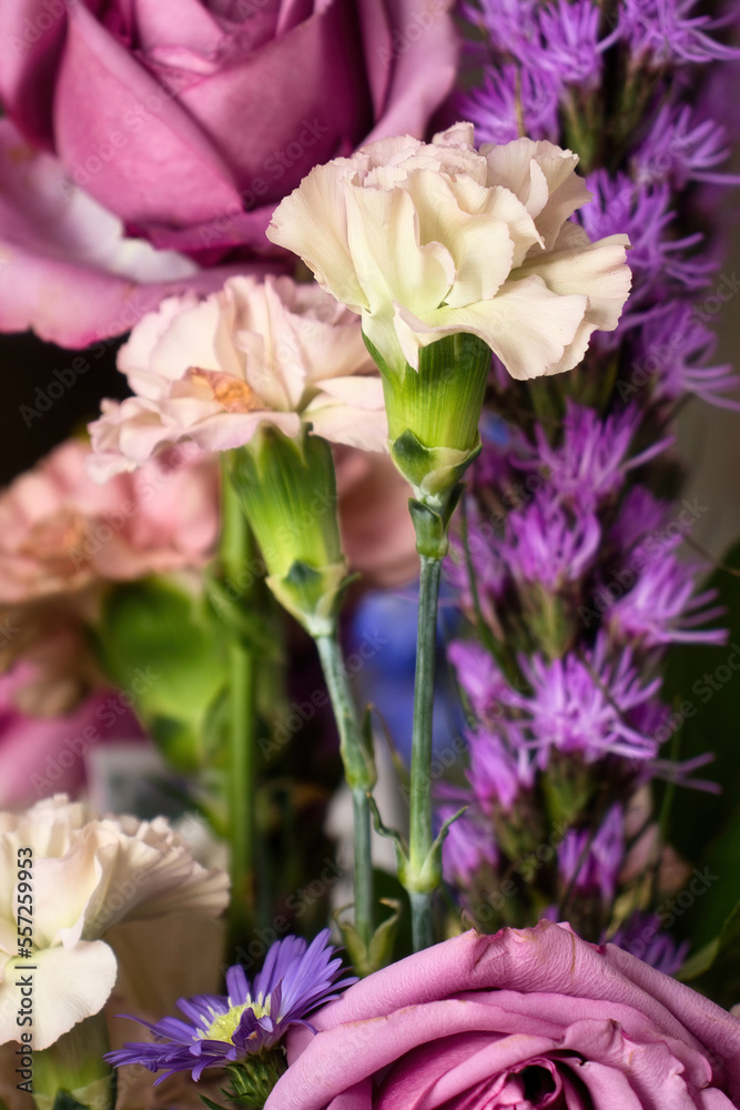 Carnations in front of a pink rose in a bouquet of flowers.