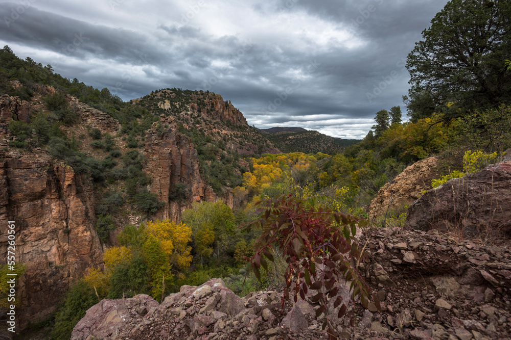 Naklejka premium arizona fall wilderness