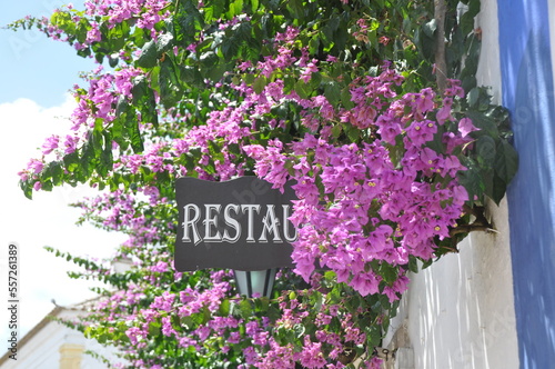 Flowers of Portugal