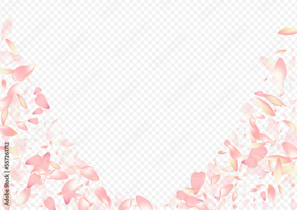 Light Rose Vector Transparent Background. Blossom
