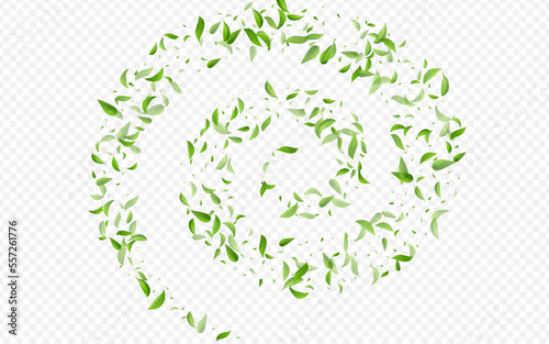 Grassy Greens Forest Vector Transparent