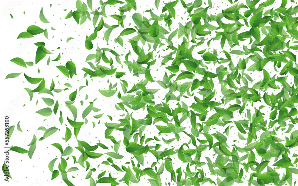 Green Leaves Ecology Vector White Background