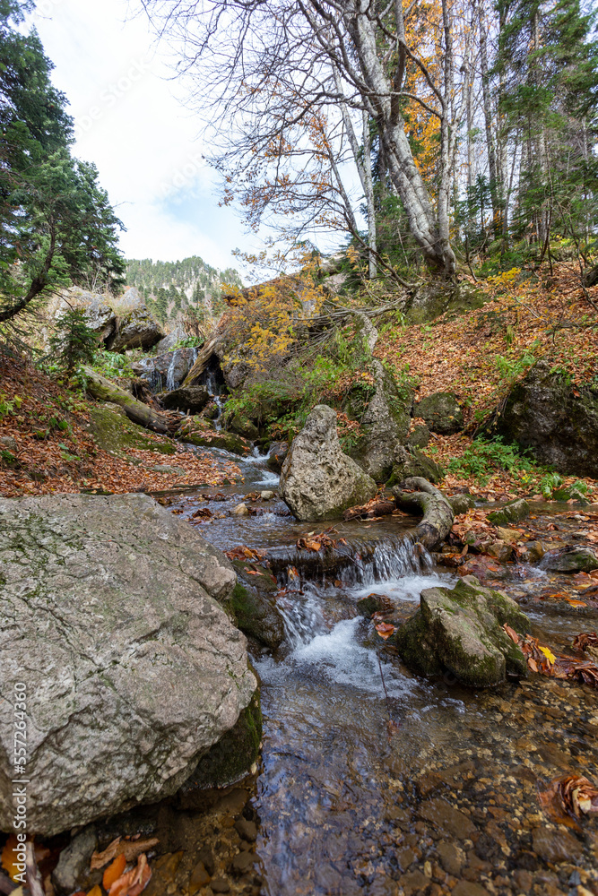 the beginning of autumn, the sources of the mountain river with rapids and whirlpools, the stone canyon of the stream, a panoramic view of the mountains. the beginning of autumn, the sources of the mountain river with rapids and whirlpools, the stone canyon of the stream, a panoramic view of the mountains.