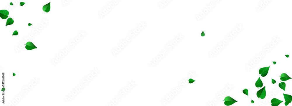Forest Greens Motion Vector Panoramic White Forest Greens Motion Vector Panoramic White