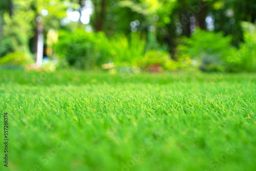 Artificial grass. Landscaping with artificial turf background. Selective focus.