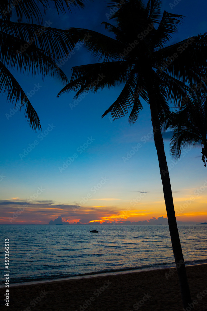Landscape of paradise tropical island beach, sunset shot. Colorful sunset on the beach. palm tree silhouettes at sunset.