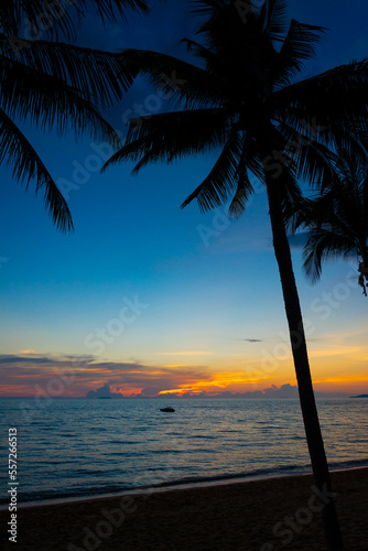 Landscape of paradise tropical island beach, sunset shot. Colorful sunset on the beach. palm tree silhouettes at sunset.