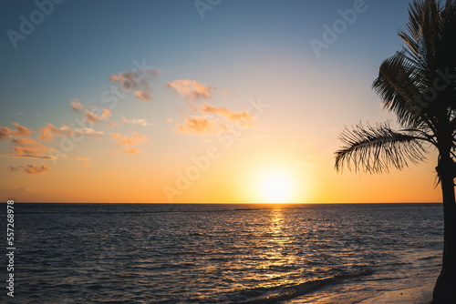 Fototapeta Naklejka Na Ścianę i Meble -  Beautiful sunrise at sea. Dawn on the Red Sea. The sun is reflected in the sea. Palm trees and palm leaves against the background of the rising sun. Tropical sunrise. Dominican Republic