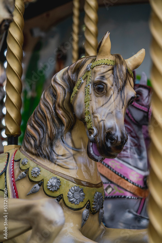 carousel white horse portrait with foreground 