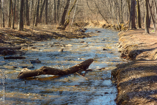 Baird's Creek On The Niagara Escarpment In Green Bay, Wisconsin, In Spring photo