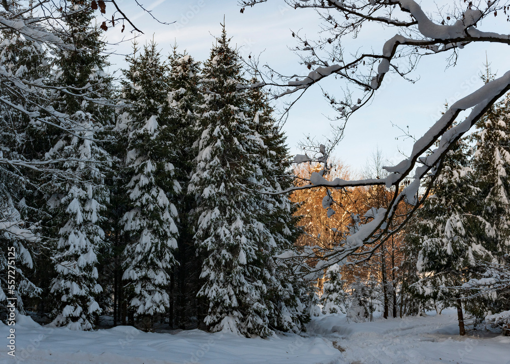 Zima w górach. Beskid Mały. Polska