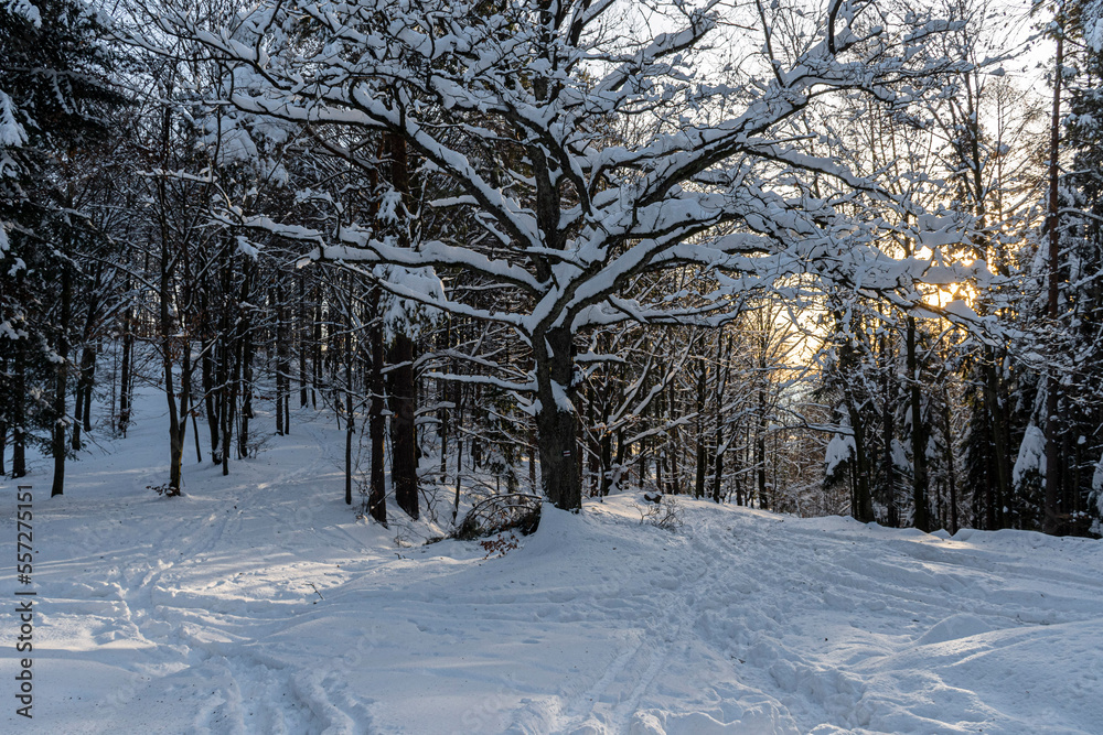 Zima w górach. Beskid Mały. Polska