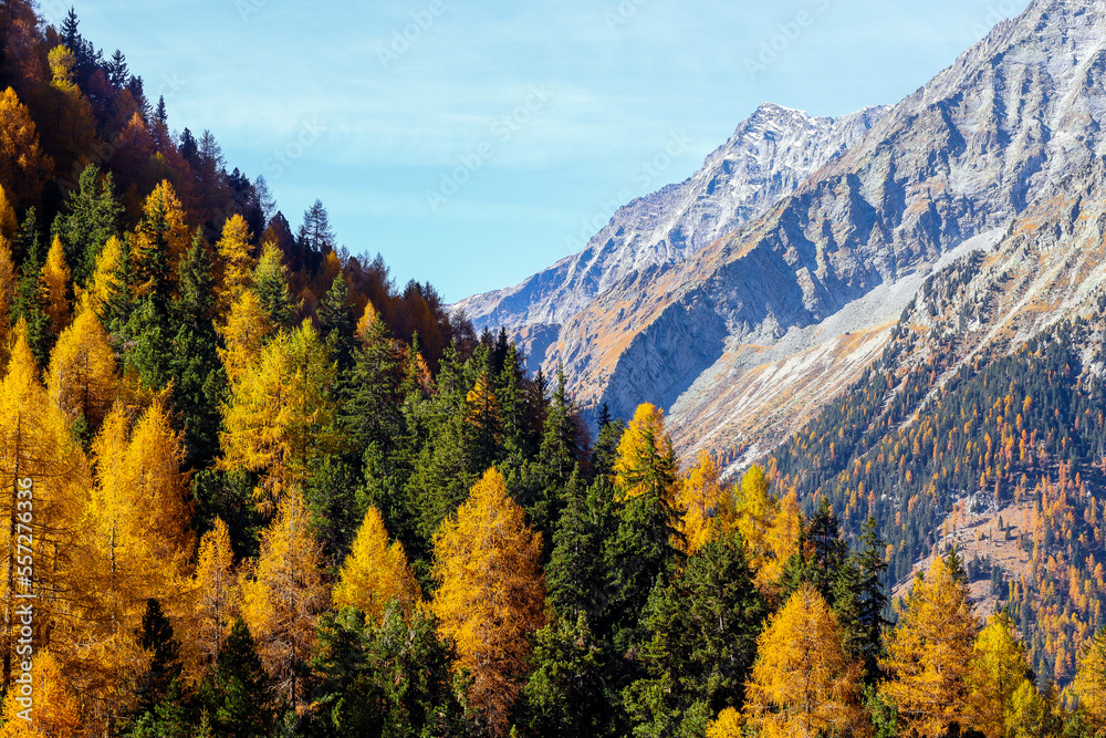 Antholz, Südtirol: Herbstliches Bergpanorama in Pastell