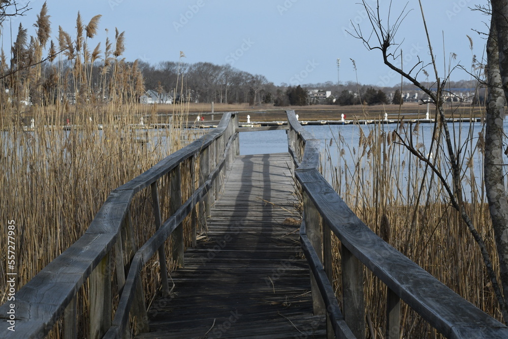 Dock to the River