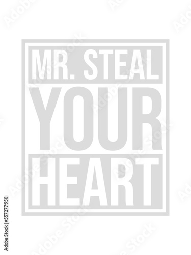 mr steal your heart 