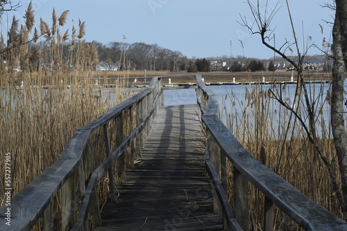 Dock to the River © Megan