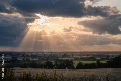 sunset over the field