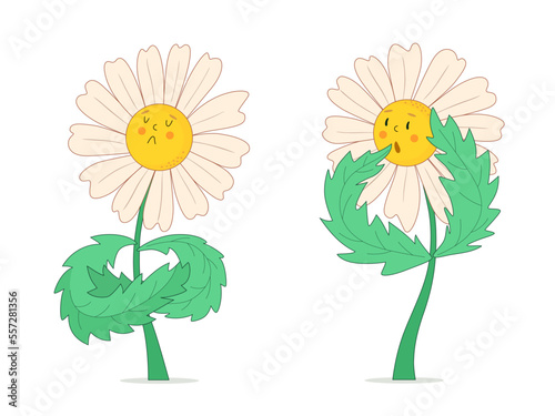 Chamomile flowers depicting emotions of resentment and surprise. Set of quarrel and astonishment icons. Vector cartoon illustration on white isolated background.