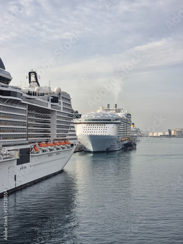 cruise ship in port © Ettore