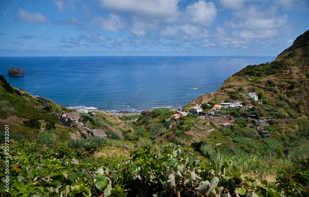 Ocean view - Madeira Island