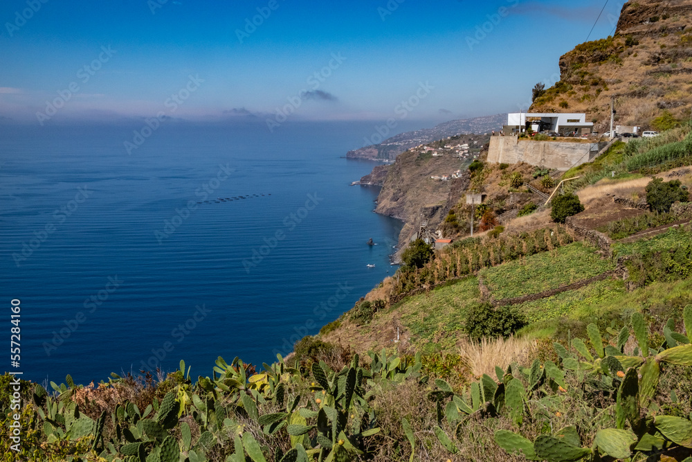 Ocean view from the cliff - Madeira Island